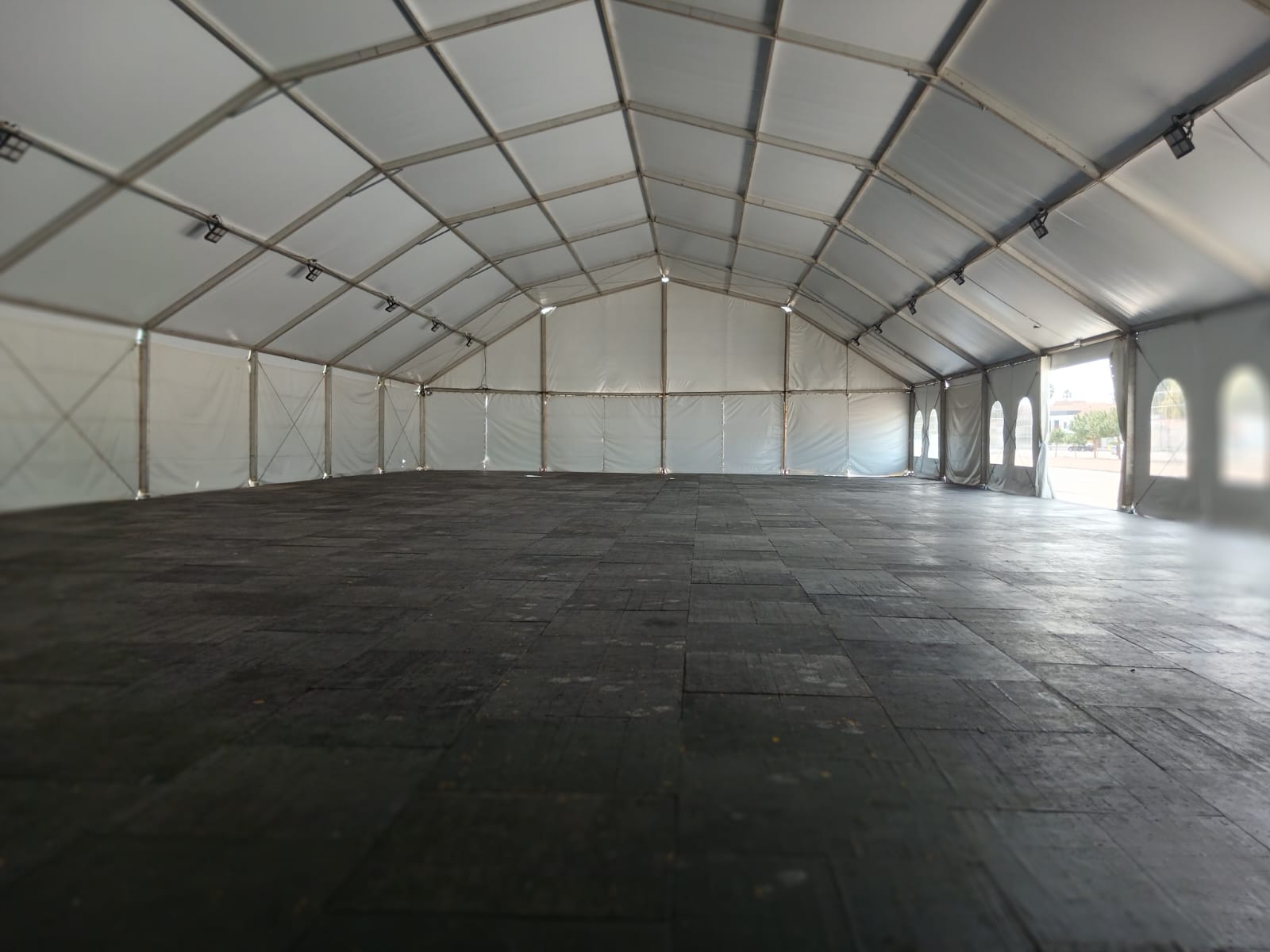 Carpa Falla 6