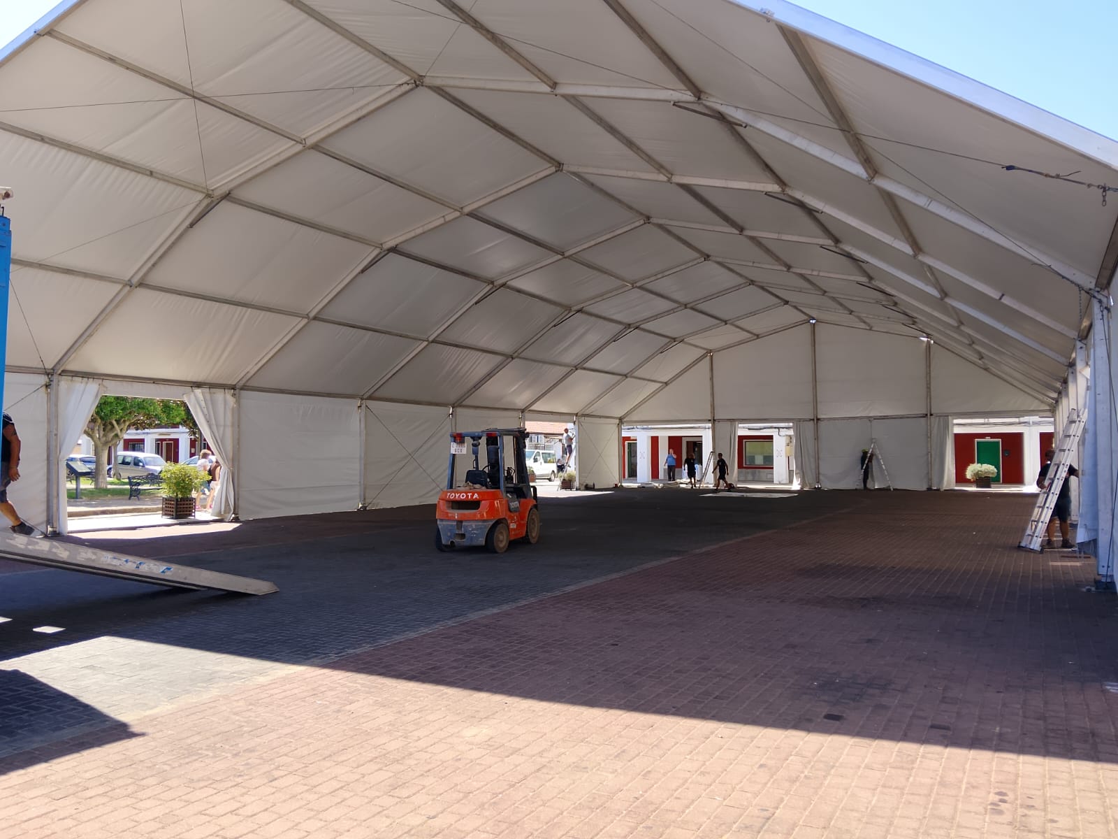 Carpa Falla 7