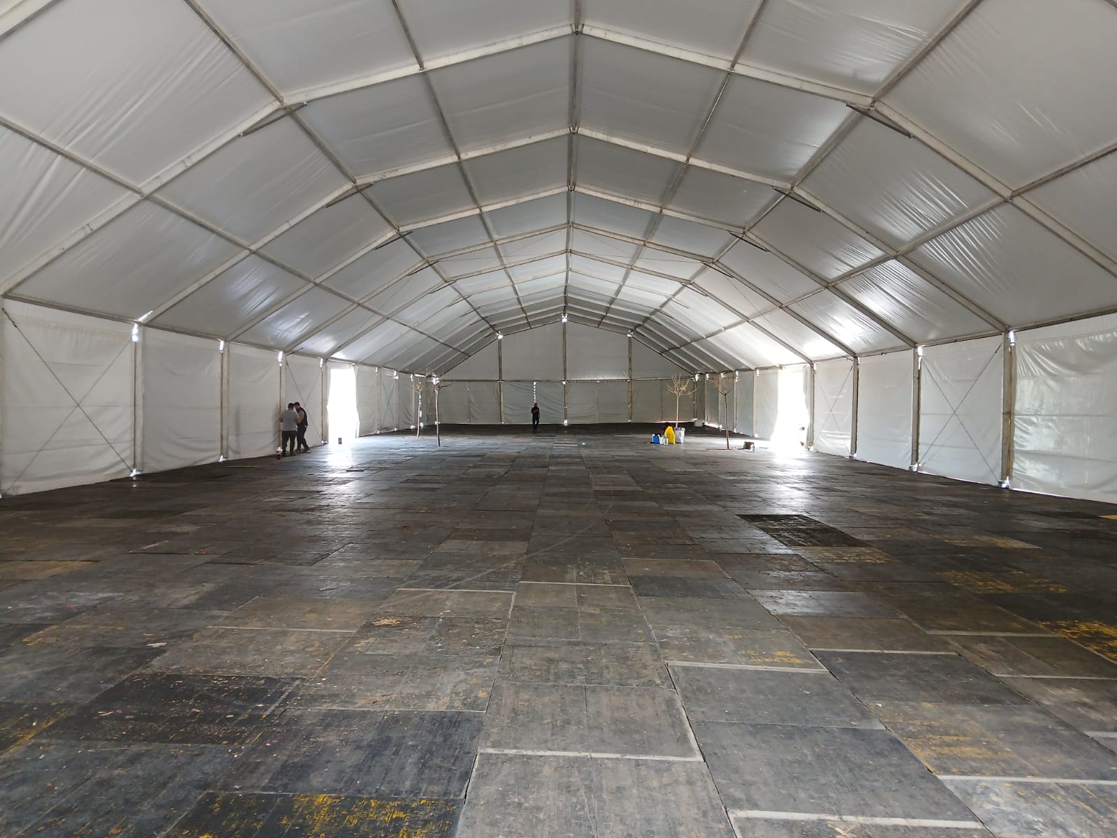 Carpa Falla 11